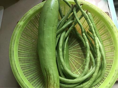 【绿茄子炒豆角】