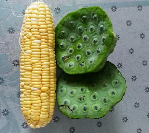 【什锦玉米粒】