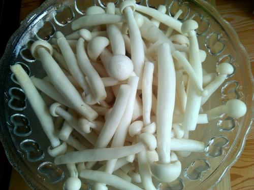 【彩椒耗油海鲜菇】