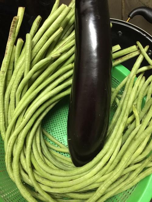 【蒜蓉豆角炒茄子】