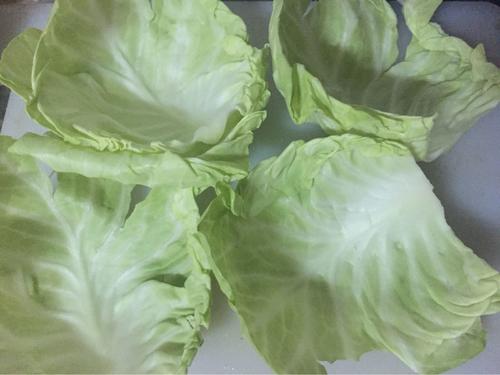 【翡翠卷心菜卷】