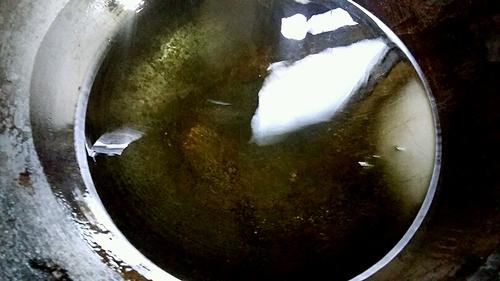 【过油小龙虾】