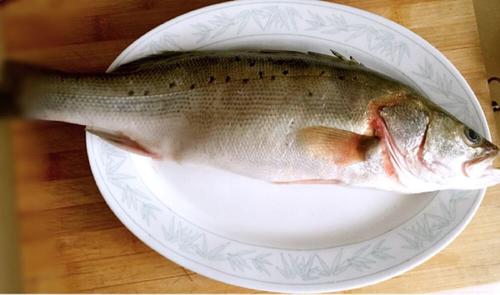 【孔雀开屏鱼】