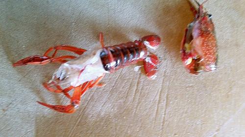 【过油小龙虾】