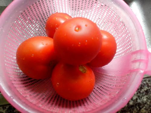 【西红柿炒蛋】