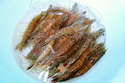 【白灼虾】