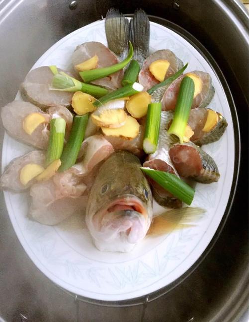 【孔雀开屏鱼】