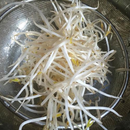 【绿豆芽包蛋】