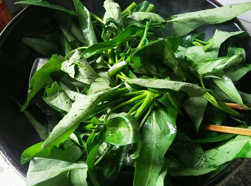 【清炒空心菜】
