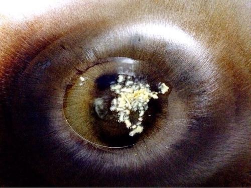 【节节高升 黄瓜酿虾仁时蔬】