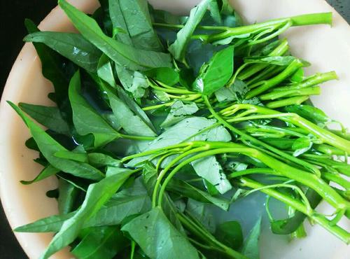 【清炒空心菜】