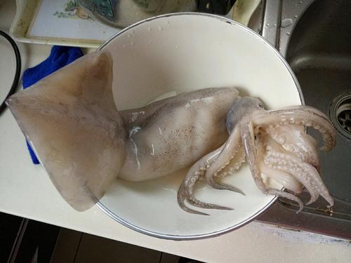 【洋葱烩鱿鱼】