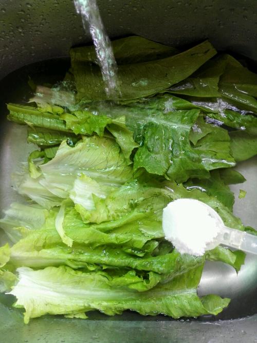 【豉汁油麦菜】