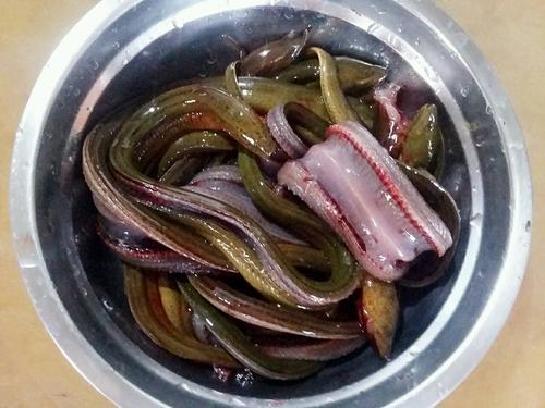 【红烧鳝鱼】