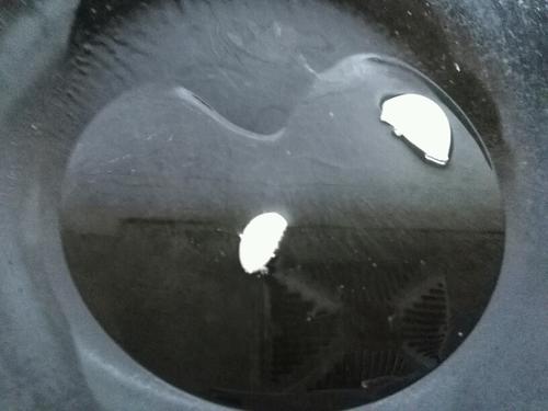 【红烧小鸡腿】