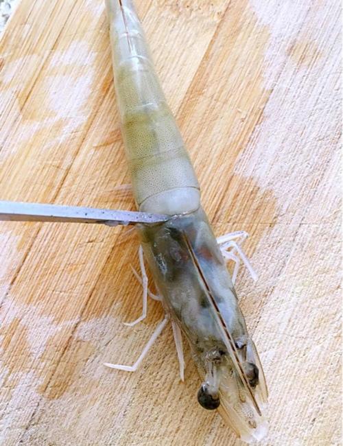 【《蒜蓉蒸虾》】