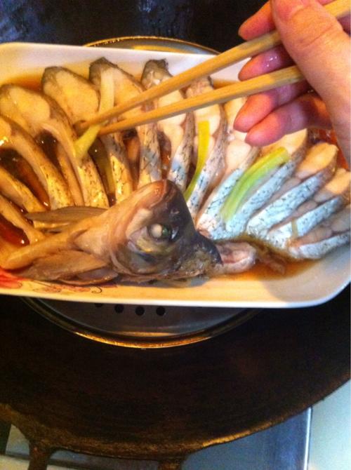 【孔雀开屏鱼】