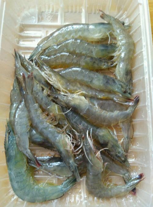 【白灼虾】