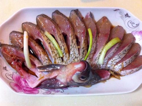 【孔雀开屏鱼】