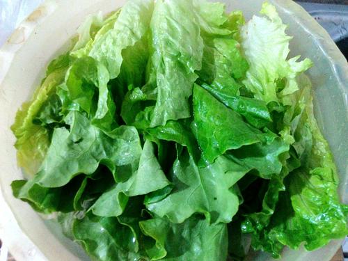 【蚝油香菇扒生菜】