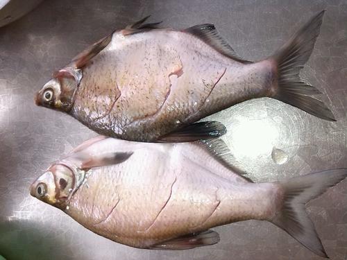 【豆瓣酱烧鲳鱼】