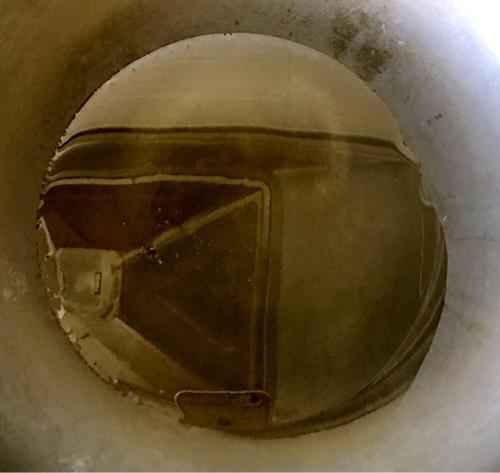 【《蒜蓉蒸虾》】