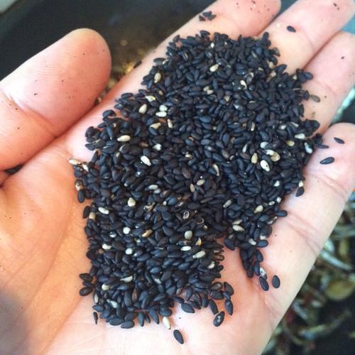 【辣炒小鱼干】