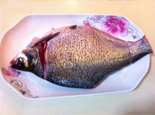 【孔雀开屏鱼】