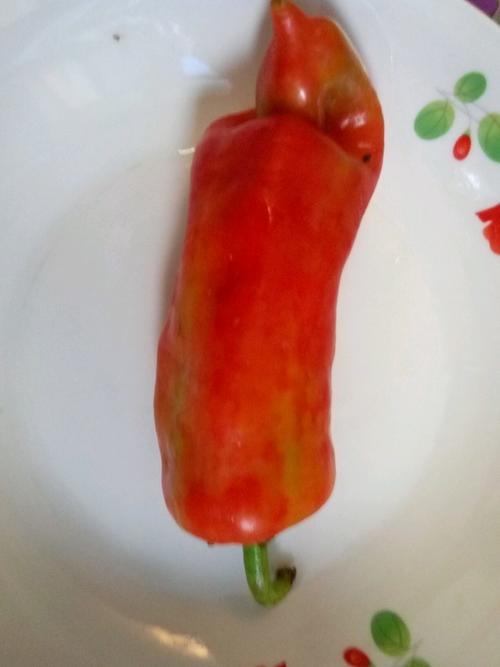 【酸辣土豆丝】