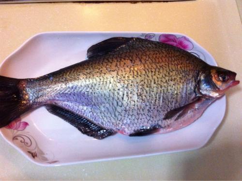 【孔雀开屏鱼】