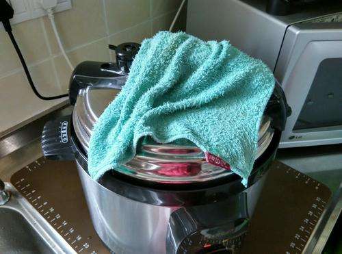 【高压锅炖排骨】