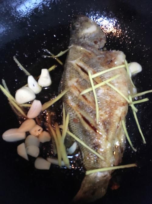 【焖海鲈鱼】