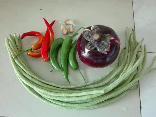 【茄子豆角】