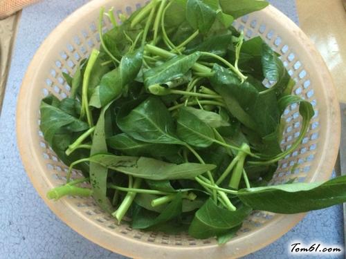 【蒜香空心菜】