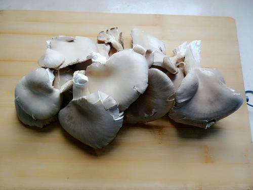 【椒盐蘑菇（香脆版以及改良版）】