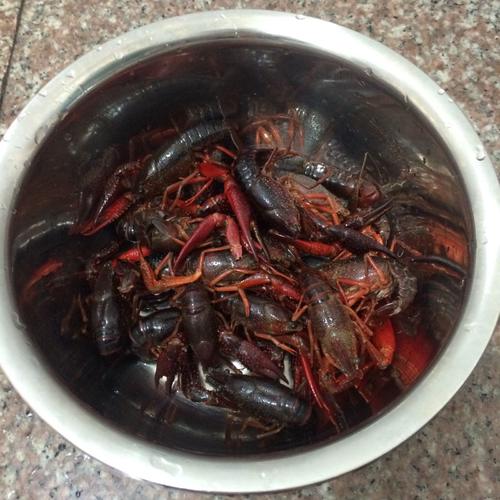 【川味小龙虾】