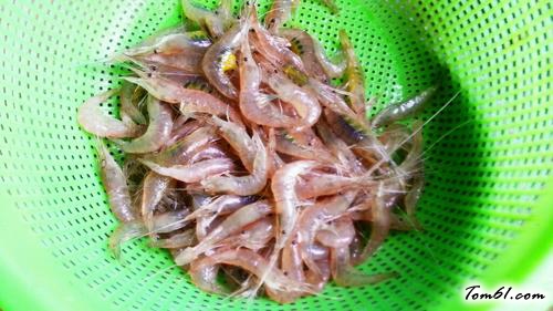 【白灼小米虾】