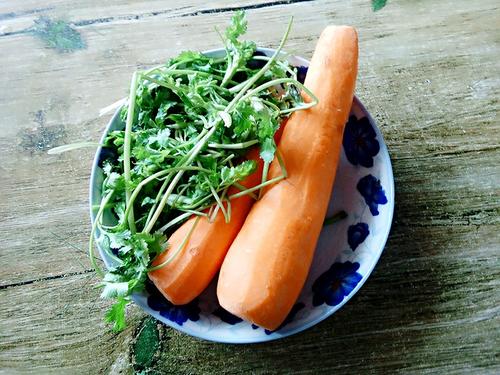 【炒胡萝卜丝】