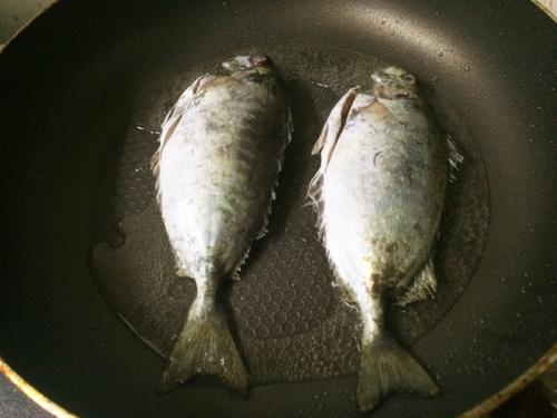 【香煎泥猛鱼】