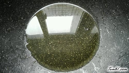 【玉米炒松子】