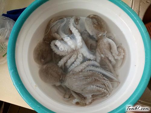 【耗油八带鱼扣西兰花】