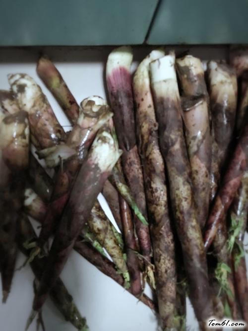 【竹笋炒肉丝】