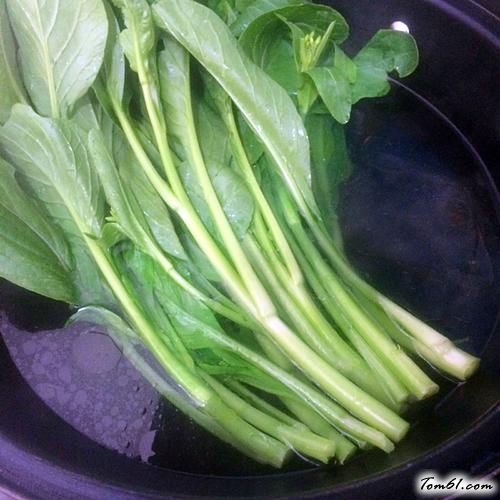 【蚝油香菇菜心】