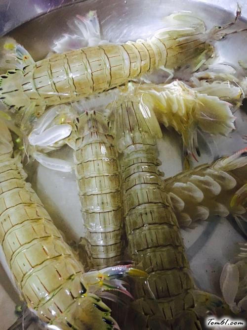 【椒盐皮皮虾（虾爬子）】