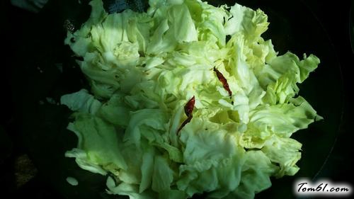 【猪油手撕圆白菜】