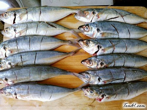 【电饼铛烤鱼】