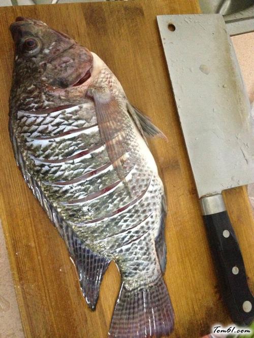 【红烧水煮福寿鱼】