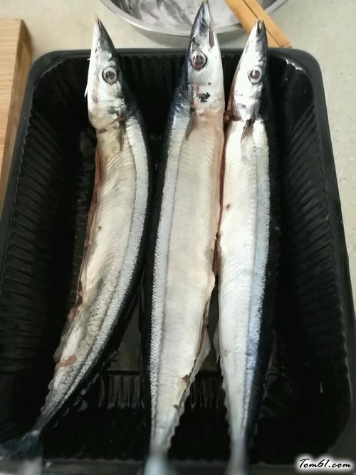 【香煎秋刀鱼】