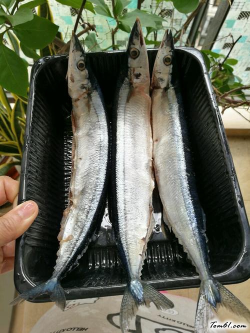 【香煎秋刀鱼】