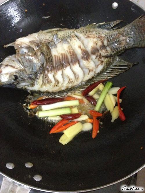 【红烧水煮福寿鱼】